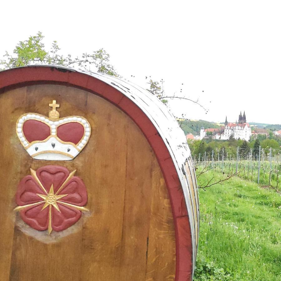 Goldrausch - Glanzvolle Ferienwohnung In Meissen Am Lutherplatz Екстериор снимка